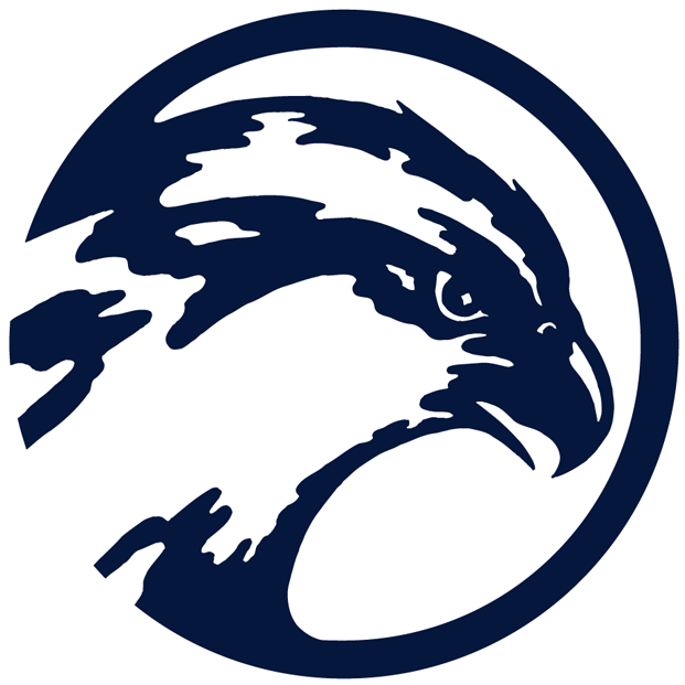 UNF Ospreys 0-1998 Primary Logo iron on transfers for T-shirts